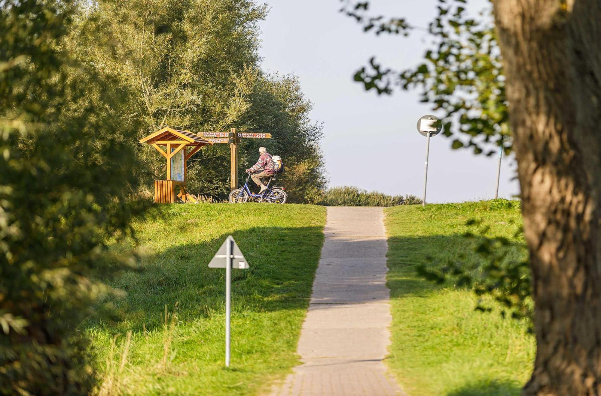 Seeschwalbe In Der Alten Seefahrtschule Wustrow  Exterior photo